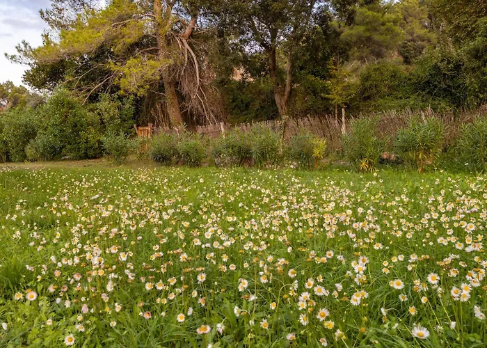 Willa New! Picassa Tafona With Private Swimming Pool And Close To Golf