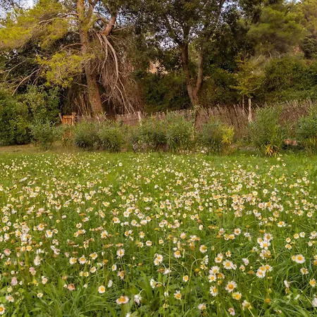 فيلة New! Picassa Tafona With Private Swimming Pool And Close To Golf